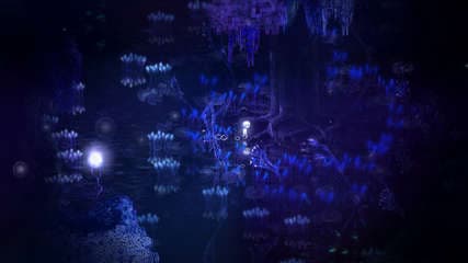 Dap screenshot 3