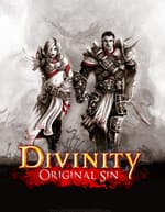 Divinity: Original Sin – Digital Collector’s Edition, v1.0.252.0